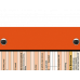 WhiteCoat Clipboard® - Orange Wildland Firefighter Edition